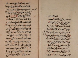 Hacı Paşa’nın bir eserinin iki sayfası 