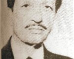 Mehmet Hulusi Bolay