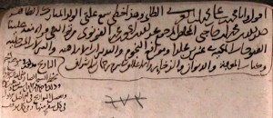 İbnü’l-Arabi’nin el yazısı (Yusuf Ağa Kütüphanesi)